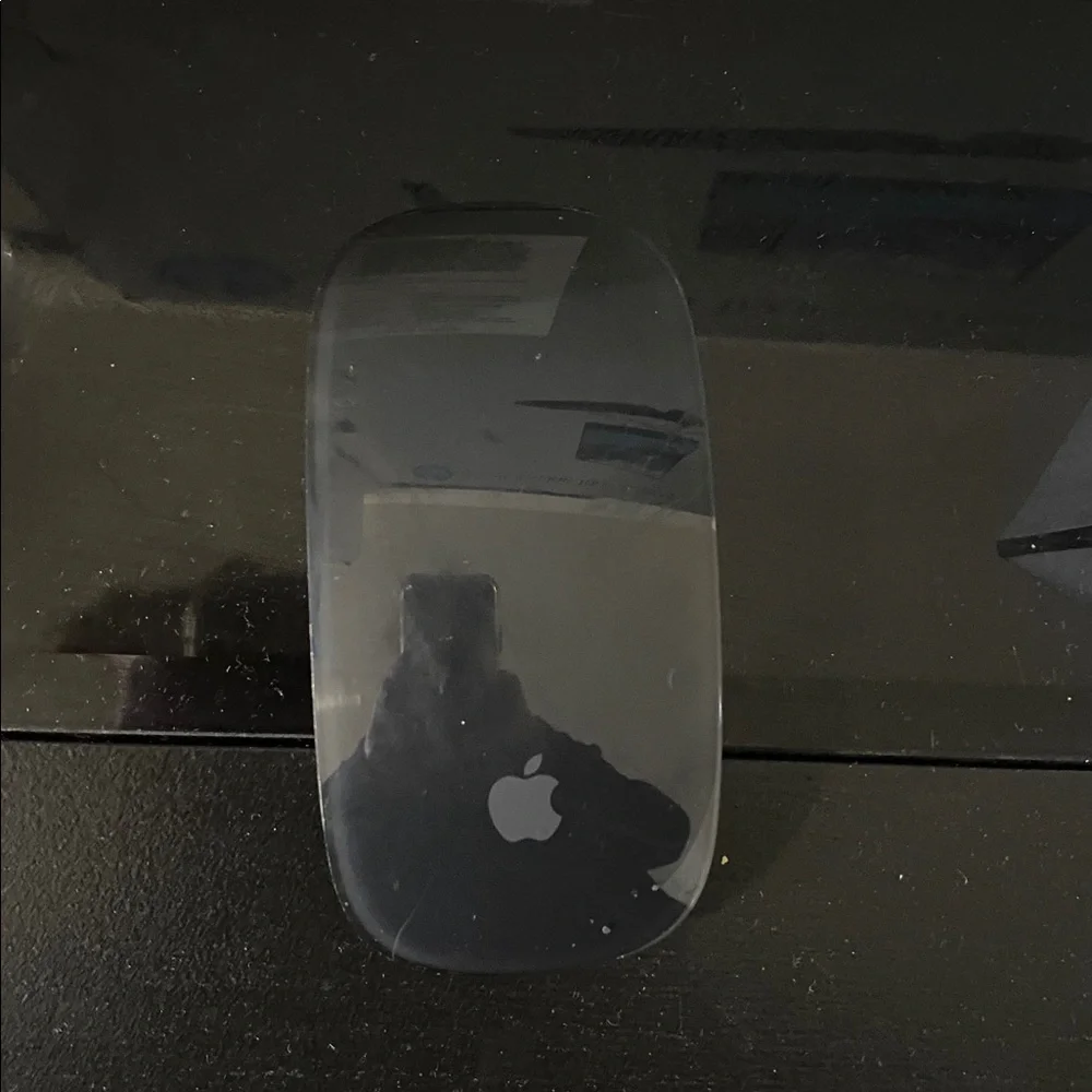 Apple Black Wireless Magic Mouse